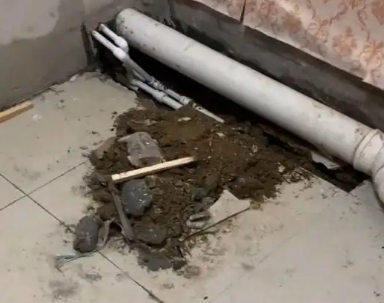 微山卫生间漏水检测哪家好